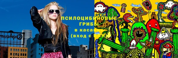 тгк Аркадак