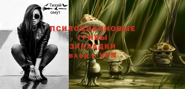 mix Арсеньев