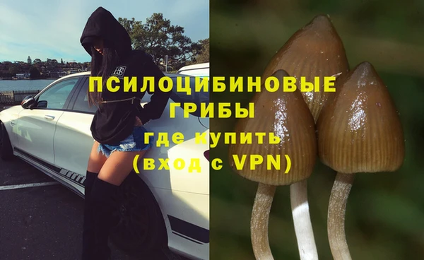 mix Арсеньев