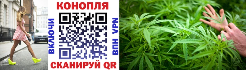 Бошки Шишки AK-47  Балтийск 